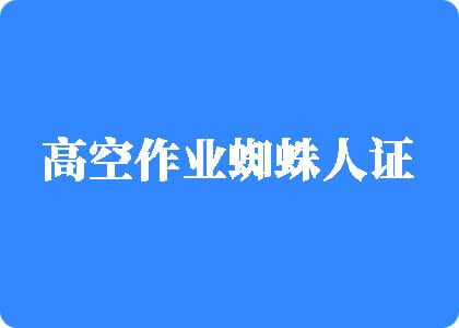 男女朋友插鸡巴免费高空作业蜘蛛人证